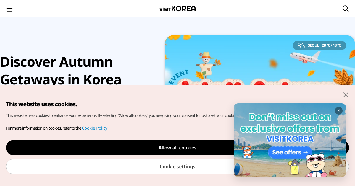 쭈꾸미 낚시 공식 홈페이지 화면